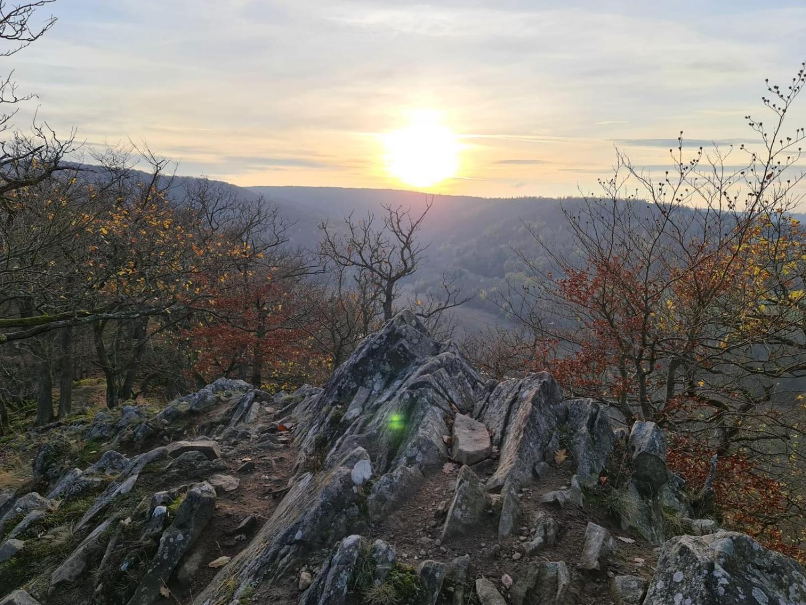 Ferienhaus Schoene Aussicht Ferienwohnung Gelb Hemfurth-Edersee エクステリア 写真