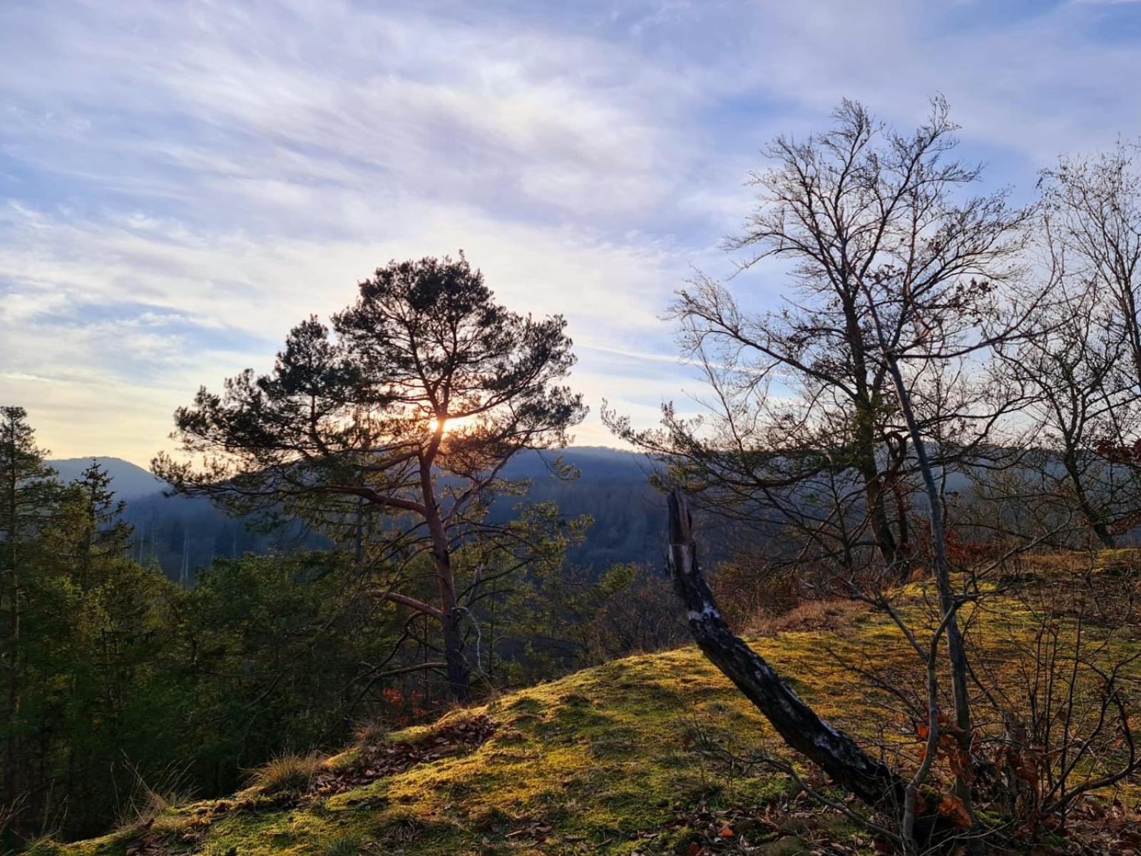 Ferienhaus Schoene Aussicht Ferienwohnung Gelb Hemfurth-Edersee エクステリア 写真